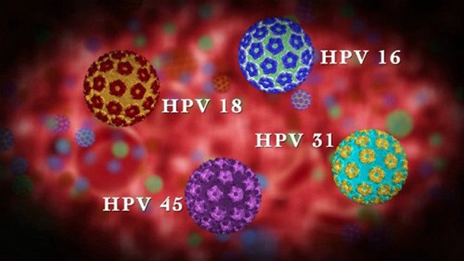 HPV virus có bao nhiêu chủng loại