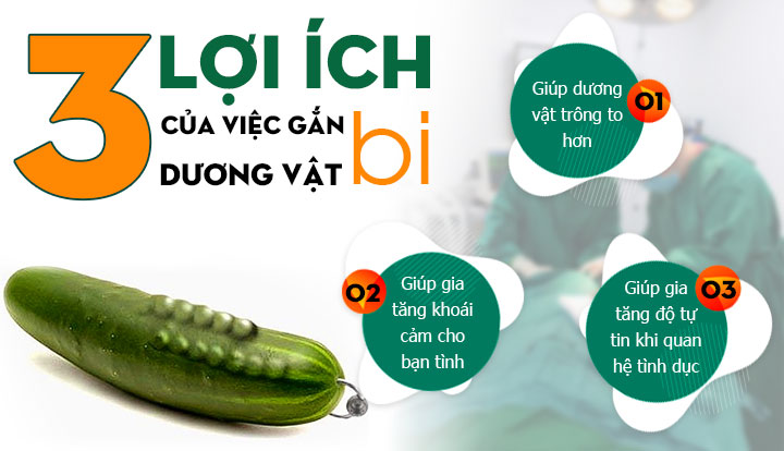 Gắn bi cho nam làm tăng kích thước và kéo dài thời gian quan hệ